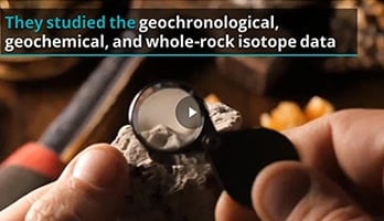 Animated Infographic